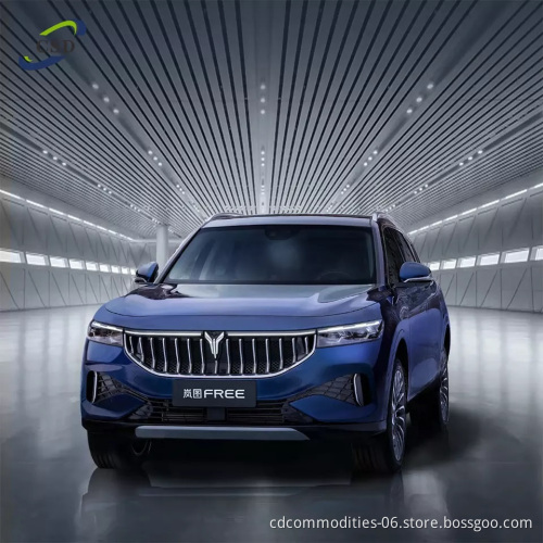 Voyah FREE Four-wheel Drive Extended Range Exclusive Luxury Package Hybrid Car